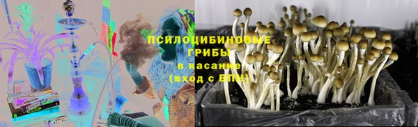 прущая мука Пестово