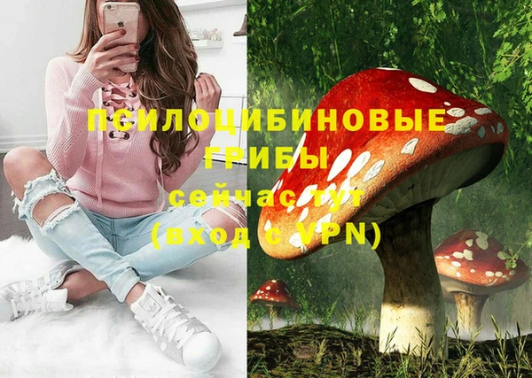 дмт Покров