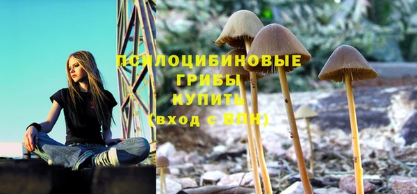 прущая мука Пестово