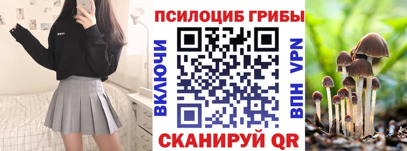 Псилоцибиновые грибы MAGIC MUSHROOMS  наркошоп  Байкальск 